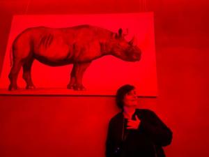 Bild des Benutzers Mellow