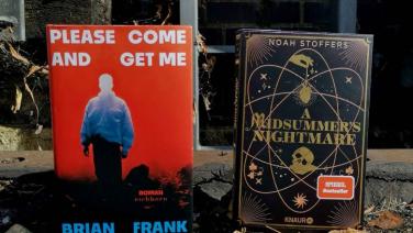 Die zwei Bücher Please come and get me und A Midsummer´s Nightmare stehen nebeneinander. Im Hintergrund ist eine Ziegelsteinmauer und eine Eisenleiter zu erahnen.